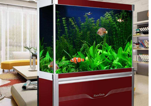 品牌鱼缸排名_鱼缸造景