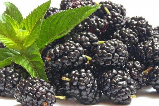 低卡水果排行榜 健康减肥,你都吃对了吗