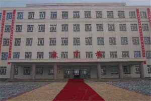 新疆专科排名(2)