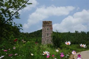 河南十大名村 河南十大最美鄉(xiāng)村有你的家鄉(xiāng)嗎