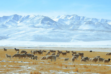 内蒙古冬季旅游景点 领略别样的蒙古景色
