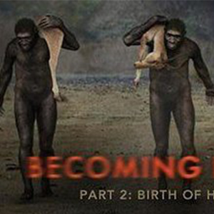 人类进化：生而为人