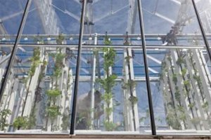 世界十大創(chuàng)意農(nóng)場(chǎng)：新加坡綠色天空僅第五 美國(guó)四處上榜