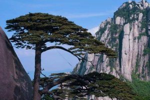 安徽必去五大旅游景點(diǎn):黃山上榜，每一個(gè)都美不勝收！
