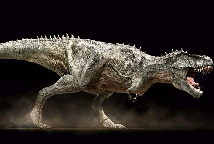 世界十大食肉恐龙 霸王龙位列第一，迅猛龙仅第九