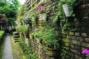 海南十大农家乐 开心农场适合家庭游,第九主打兰花游