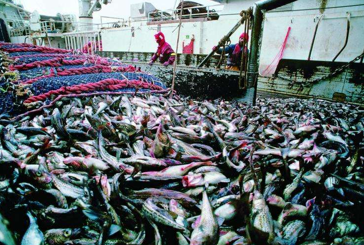 全球三大渔港排行榜 日本北海道位列第一，纽芬兰渔场排第二