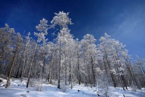 全國最冷的十個城市排名 牙克石最低可達零下52℃