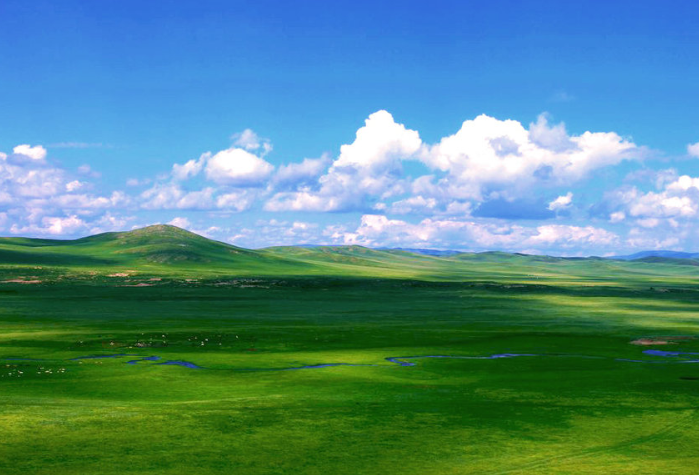 全球四大草原排行榜 中国占了三个，呼伦贝尔位列第一