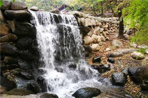 天津周邊游景點(diǎn)推薦 百里峽地貌獨(dú)特白洋淀風(fēng)景區(qū)景色秀麗