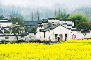 中國十大攝影旅游圣地 婺源宛如人間仙境周莊江南水鄉(xiāng)代表