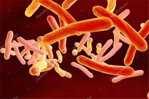 十大最可怕细菌排行榜：肉毒杆菌上榜，第一是结核病源头