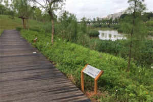 廣州十大公園排行榜：海珠湖上榜，第十適合培養(yǎng)親子感情