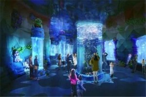 重慶十大熱門動(dòng)植物園:南山植物園上榜，第十在室內(nèi)