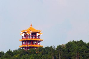 韶關(guān)十大公園廣場(chǎng)排名:雄州公園上榜，第6看銀杏