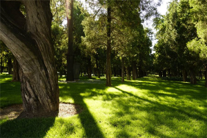 達(dá)州十大公園廣場排行榜：萬興廣場上榜，第十是旅游景區(qū)