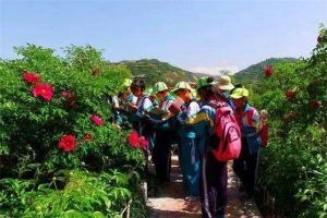 定西十大本地玩乐排行榜：茶埠农家乐上榜，第七采摘草莓