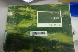 催淚小說排行榜前十名：《昭奚舊草》上榜，第1張愛玲作品