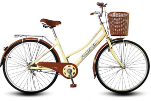国产十大自行车品牌：捷安特上榜，它是百年老字号
