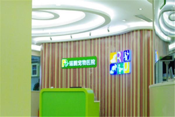 中国十大宠物医院：贝克和史东上榜，安安宠医第三