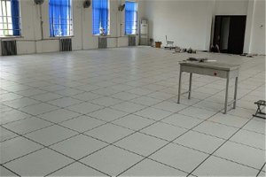 靜電地板品牌十大排名：沈飛地板上榜，匯麗地板第一