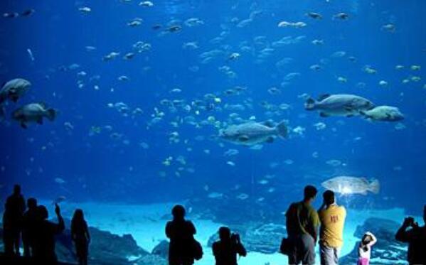 全球十大海洋馆 中国上榜两座 第九个居然重现亚特兰蒂斯