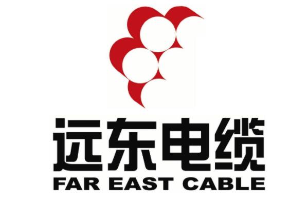 廣東電線十大名牌排名，遠東電纜上榜，第六家與施耐德電氣聯手