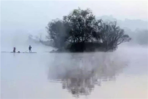 十大最悲傷的二胡曲子 二泉映月上榜，一枝花這首歌曲十分悲傷