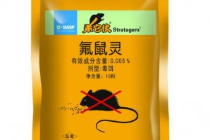 2021老鼠藥品牌排行榜 美國Ramik墊底,巴斯夫第一