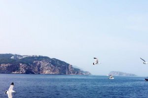 大連十大最好玩的景點排名，星海公園上榜，第二被譽為神力雕塑公園