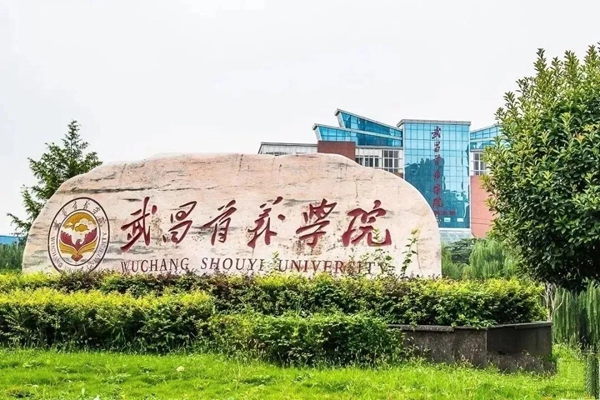 湖北省十大民办大学排行榜：第一武昌首义学院，湖北商贸学院上榜