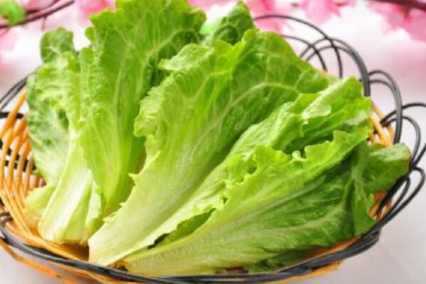 最刮油减肥的10种蔬菜 黄瓜第一,第六有"长寿菜"之称(3)