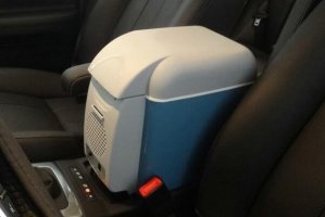 2021十大車載冰箱品牌排行榜 澳特賽上榜,英得爾位居第一