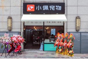 寵物店連鎖品牌排行前十名，圣寵寵物上榜，第二有六千家連鎖店