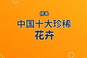 中國十大珍稀花卉 丹霞梧桐上榜，第一被譽(yù)為“茶族皇后”