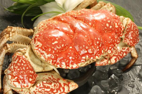 全球十大螃蟹品种，帝王蟹上榜，第六是日本三大名蟹之一（世界上最大的螃蟹品种）