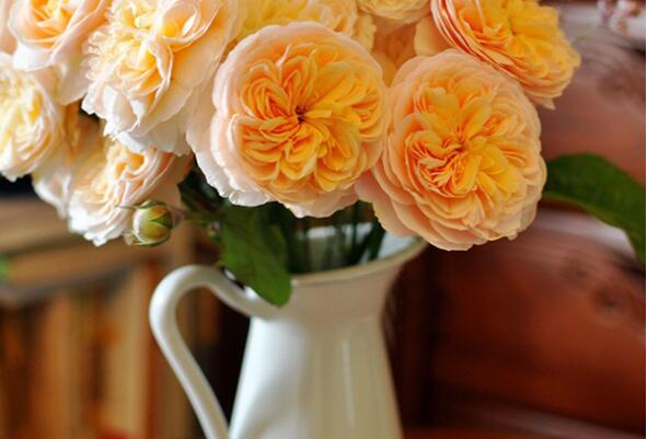 最常见的十大鲜切花材，向日葵上榜，第一被誉为花中皇后