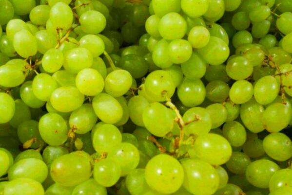 新疆十大知名葡萄品种，木纳格葡萄上榜，第一又被称为无籽露