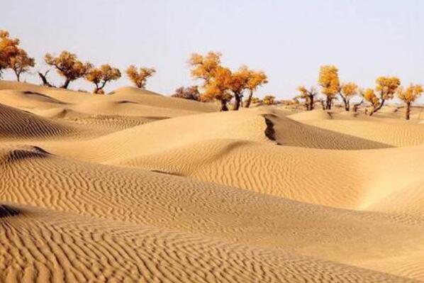 中国八大沙漠排名 腾格里沙漠上榜，第一面积达33万平方公里