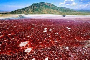 世界最奇特的十大湖泊，榜首可讓人石化，粉紅湖排第五(希勒湖)