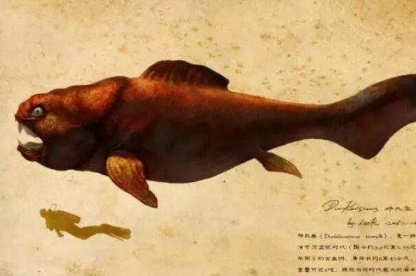 十大海洋巨兽-史前十大海洋巨兽排行榜 巨齿鲨上榜,第一生存在3.6亿年前
