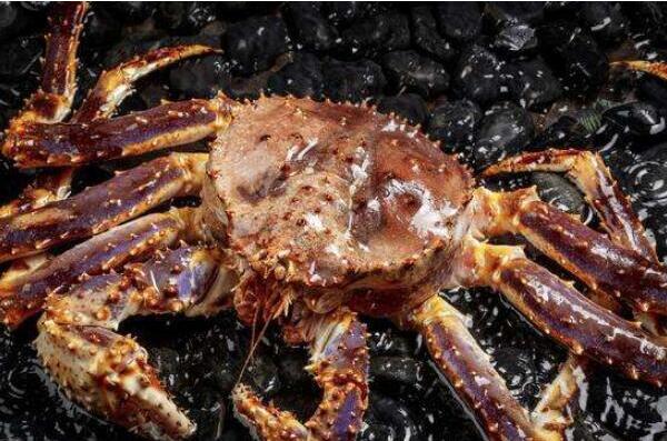 世界上最珍贵的四大海鲜 东星斑上榜，第一是“蟹中之王”（世界上最名贵的海鲜）