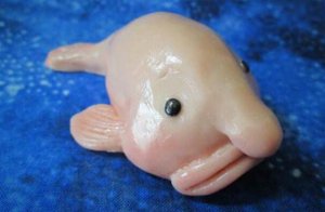 世界最丑十大動物 鮟鱇魚上榜,第一丑的出奇