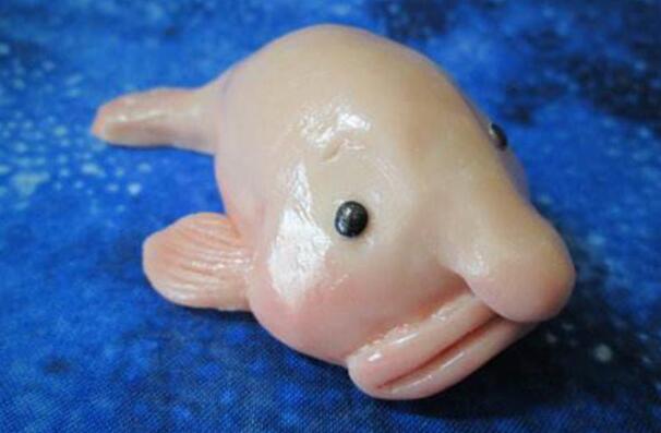 世界最丑十大动物 鮟鱇鱼上榜,第一丑的出奇
