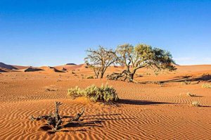 世界上最古老的十個沙漠，納米布沙漠近1億歲，第二世界最大