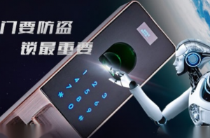 智能鎖十大名牌排行榜-智能防盜鎖十大名牌哪個(gè)性價(jià)比最高