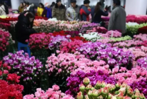 中國十大花木交易市場，花木之鄉排第五，第十歷史最久