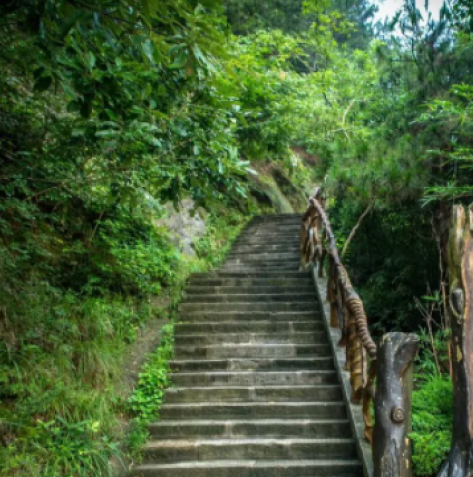 素山寺国家森林公园