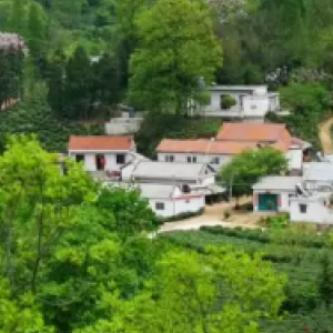 柏林镇白马山村