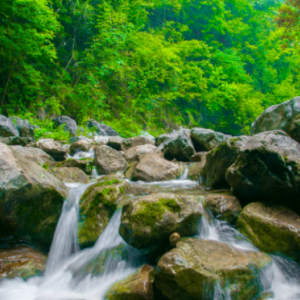 木橋溪